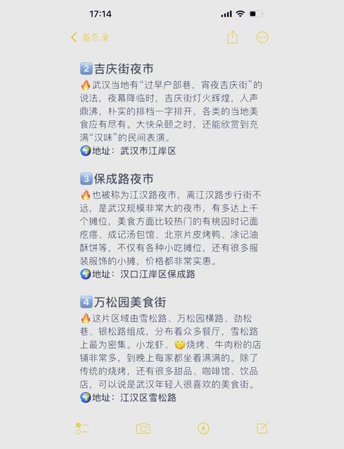 玩转武汉夜网_武汉夜网指南_武汉夜网202