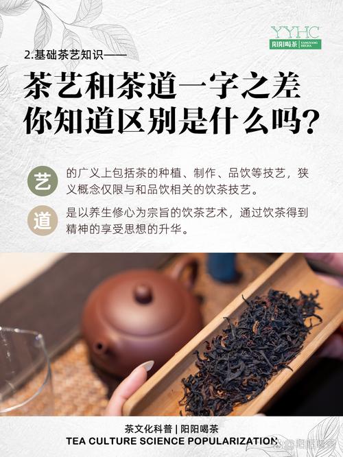 武汉茶艺交流平台：茶道与茶文化探讨，领略悠久历史渊源