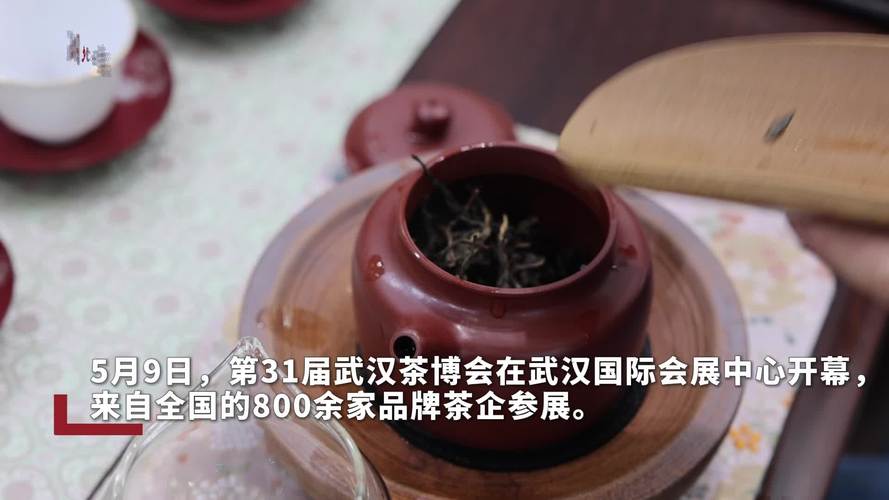 武汉品茶网桑拿_武汉品茶网最新帖子_武汉品茶网